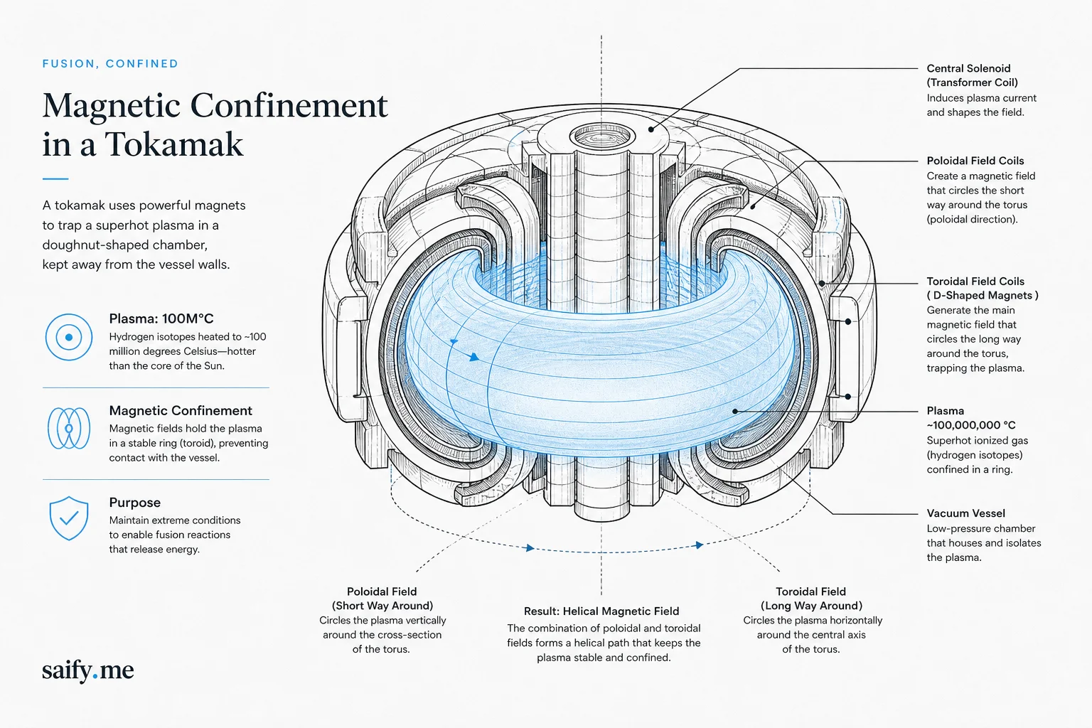 Tokamak cross-section diagram showing plasma ring confined by toroidal field magnets