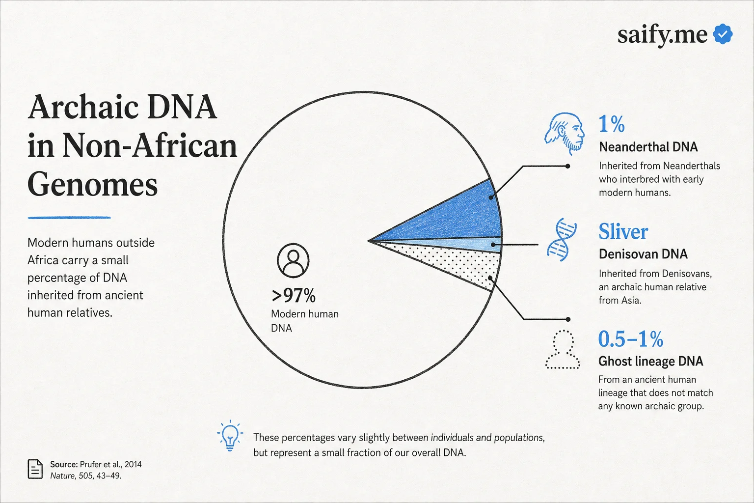 Infographic breaking down archaic DNA fractions in non-African genomes including Neanderthal, Denisovan, and ghost lineage segments