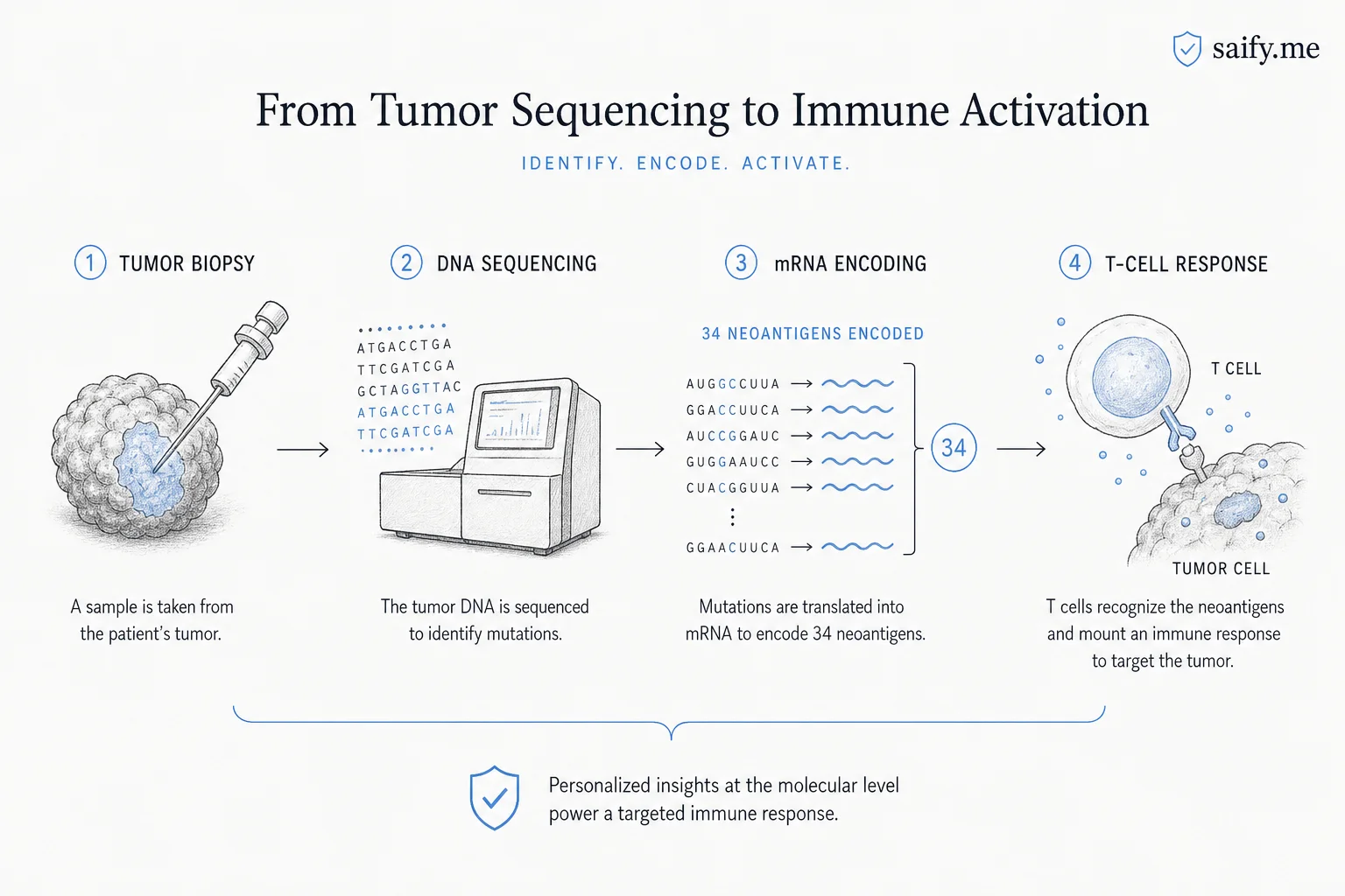 Workflow from tumor biopsy through sequencing to mRNA neoantigen encoding and immune activation