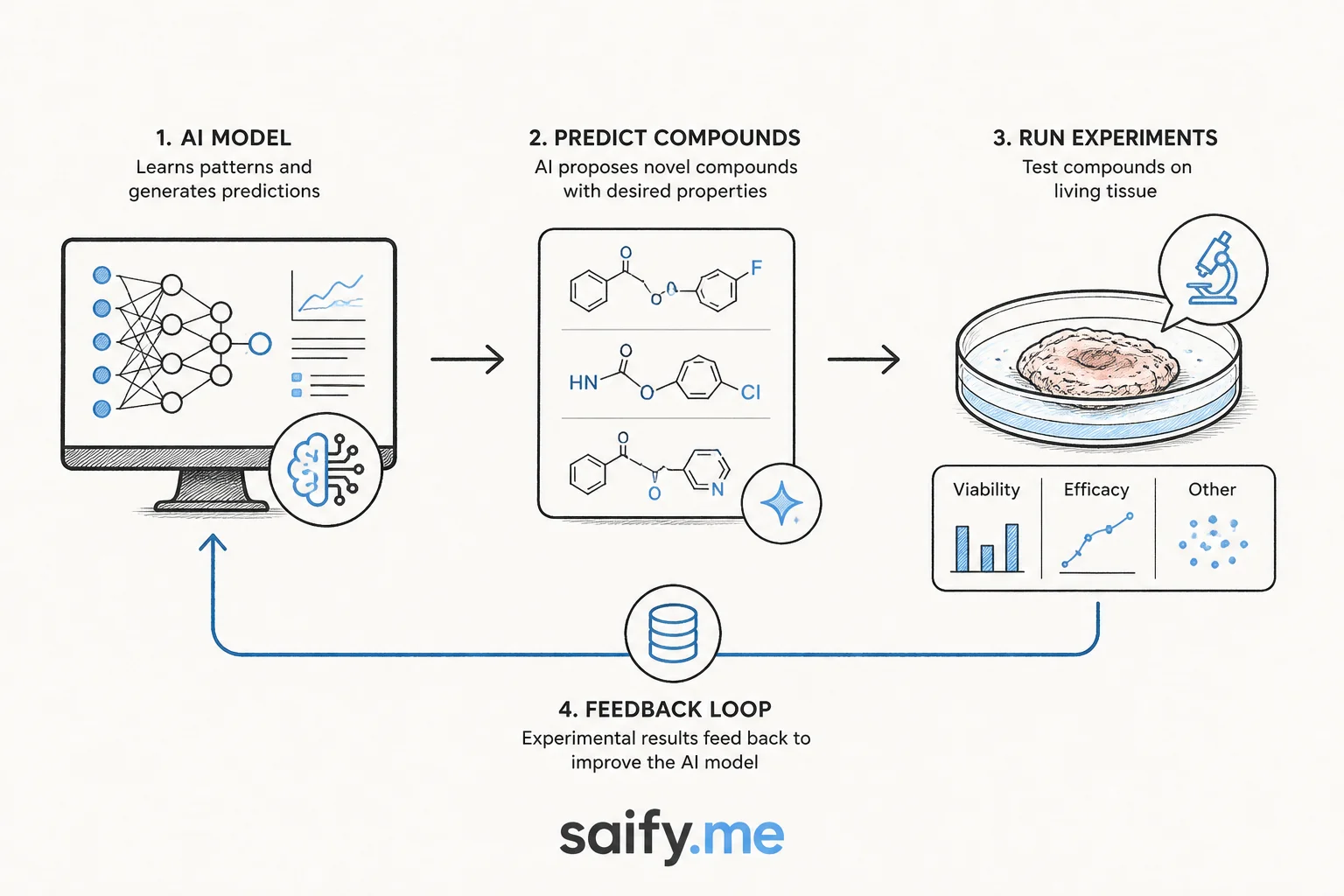 Closed-loop diagram from AI compound prediction through living tissue experiments back to model retraining