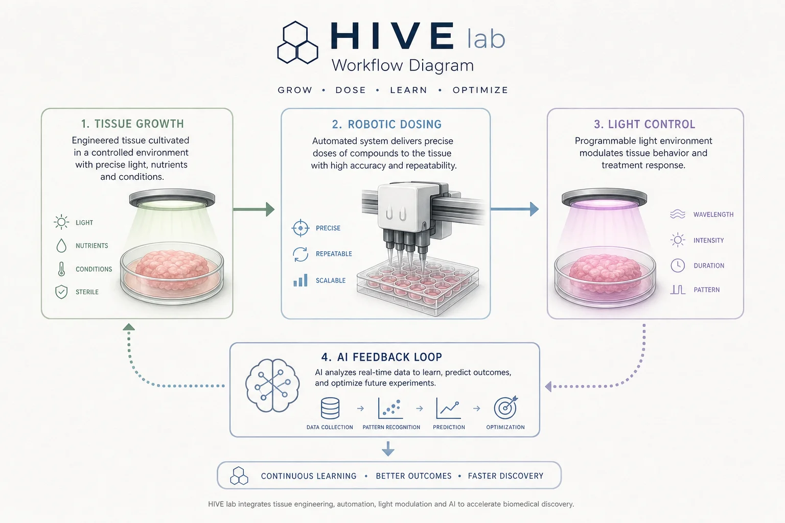 Workflow diagram from tissue growth through robotic dosing to AI experiment planning